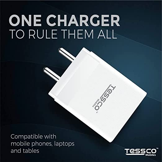 Tessco BC-203 PD Fast Charger-1