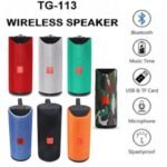 TG-113 Wireless Speaker